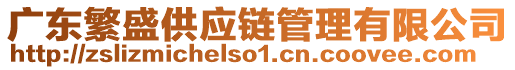 廣東繁盛供應(yīng)鏈管理有限公司