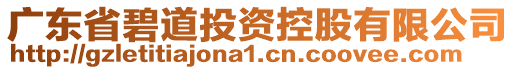 廣東省碧道投資控股有限公司