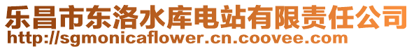 樂昌市東洛水庫電站有限責任公司