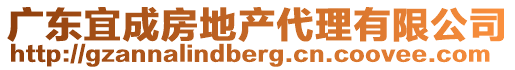 廣東宜成房地產(chǎn)代理有限公司