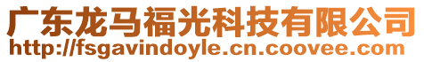 廣東龍馬福光科技有限公司