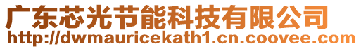 廣東芯光節(jié)能科技有限公司