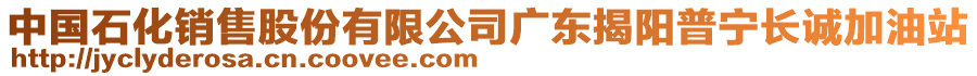 中國石化銷售股份有限公司廣東揭陽普寧長誠加油站