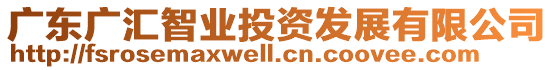 廣東廣匯智業投資發展有限公司