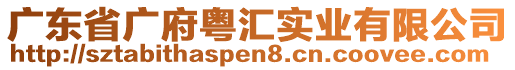 廣東省廣府粵匯實業(yè)有限公司