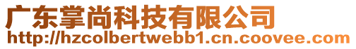 廣東掌尚科技有限公司