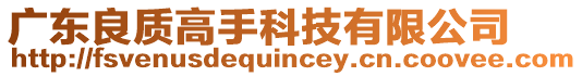 廣東良質(zhì)高手科技有限公司