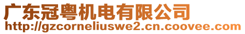 廣東冠粵機電有限公司