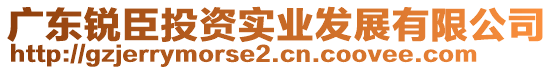 廣東銳臣投資實業(yè)發(fā)展有限公司