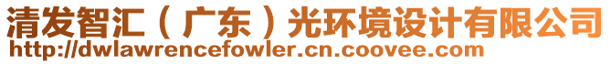 清發(fā)智匯（廣東）光環(huán)境設(shè)計有限公司