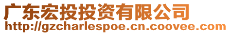 廣東宏投投資有限公司