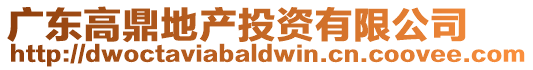 廣東高鼎地產投資有限公司