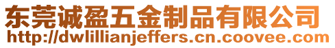 東莞誠盈五金制品有限公司