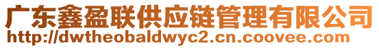 廣東鑫盈聯(lián)供應(yīng)鏈管理有限公司