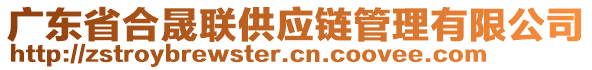 廣東省合晟聯(lián)供應(yīng)鏈管理有限公司