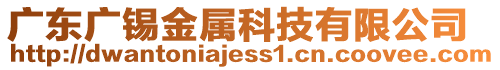 廣東廣錫金屬科技有限公司