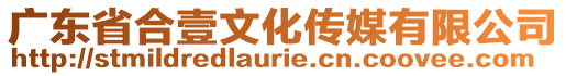 廣東省合壹文化傳媒有限公司