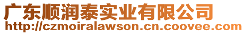 廣東順潤泰實業(yè)有限公司