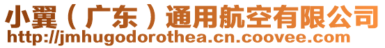 小翼(廣東)通用航空有限公司