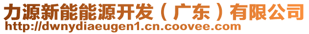 力源新能能源開發(fā)（廣東）有限公司