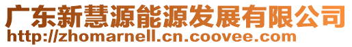 廣東新慧源能源發(fā)展有限公司