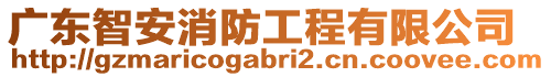 廣東智安消防工程有限公司