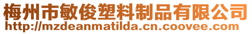 梅州市敏俊塑料制品有限公司