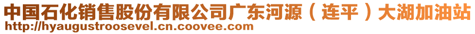 中國石化銷售股份有限公司廣東河源（連平）大湖加油站