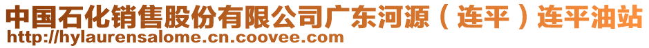 中國(guó)石化銷售股份有限公司廣東河源（連平）連平油站