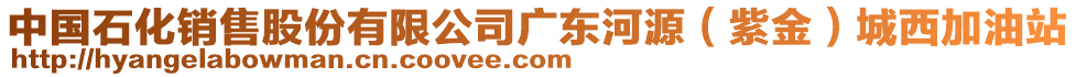 中國石化銷售股份有限公司廣東河源（紫金）城西加油站