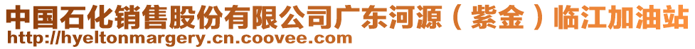 中國石化銷售股份有限公司廣東河源（紫金）臨江加油站