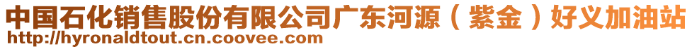 中國石化銷售股份有限公司廣東河源（紫金）好義加油站