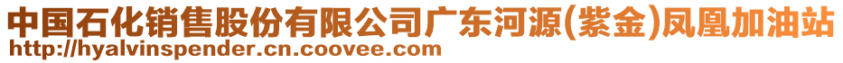 中國石化銷售股份有限公司廣東河源(紫金)鳳凰加油站