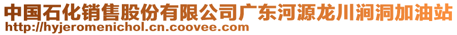 中國石化銷售股份有限公司廣東河源龍川澗洞加油站