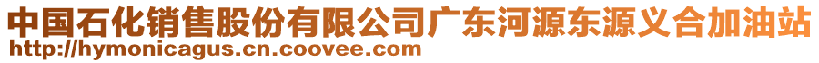 中國(guó)石化銷售股份有限公司廣東河源東源義合加油站