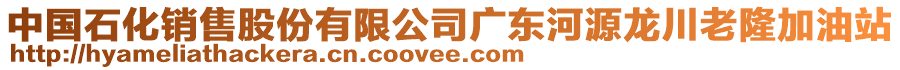 中國石化銷售股份有限公司廣東河源龍川老隆加油站