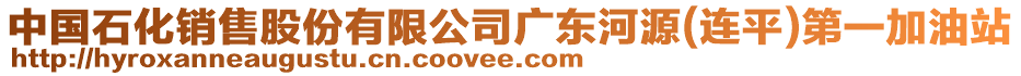 中國石化銷售股份有限公司廣東河源(連平)第一加油站