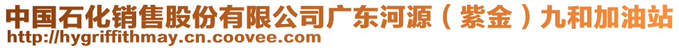 中國(guó)石化銷(xiāo)售股份有限公司廣東河源（紫金）九和加油站