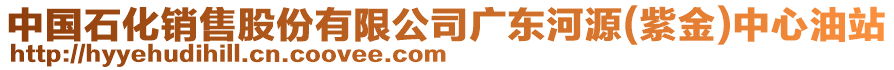 中國石化銷售股份有限公司廣東河源(紫金)中心油站