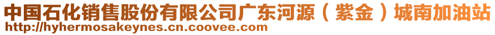 中國石化銷售股份有限公司廣東河源（紫金）城南加油站