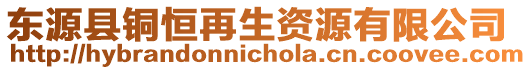 東源縣銅恒再生資源有限公司