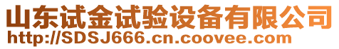 山東試金試驗設備有限公司