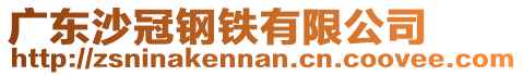 廣東沙冠鋼鐵有限公司