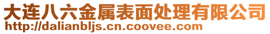 大連八六金屬表面處理有限公司