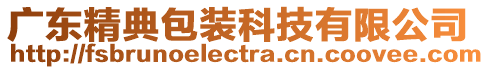 廣東精典包裝科技有限公司