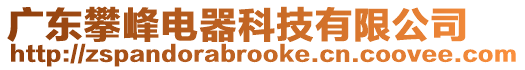 廣東攀峰電器科技有限公司