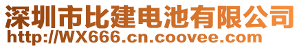 深圳市比建電池有限公司