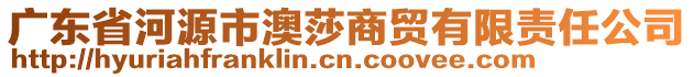 廣東省河源市澳莎商貿(mào)有限責任公司