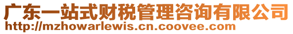 廣東一站式財(cái)稅管理咨詢有限公司