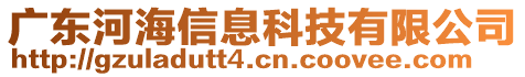 廣東河海信息科技有限公司